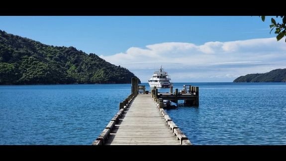 Cruise The Malborough Sounds, New Zealand