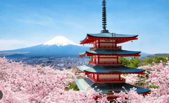 Cruise Japan with Holland America