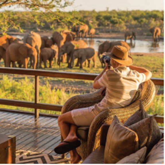 Taj Bush Lodge Greater Kruger, South Africa