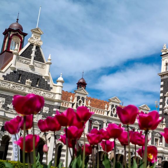 Dunedin