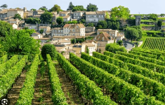 Luxury Wine River Cruise & Tour
