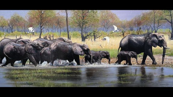 Ultimate Safaris in Africa with Inspiring Vacations