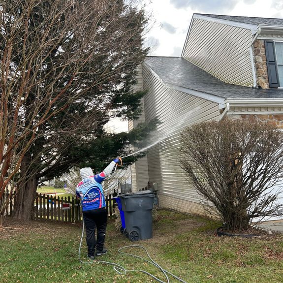 Will house washing remove stains from algae and mold?