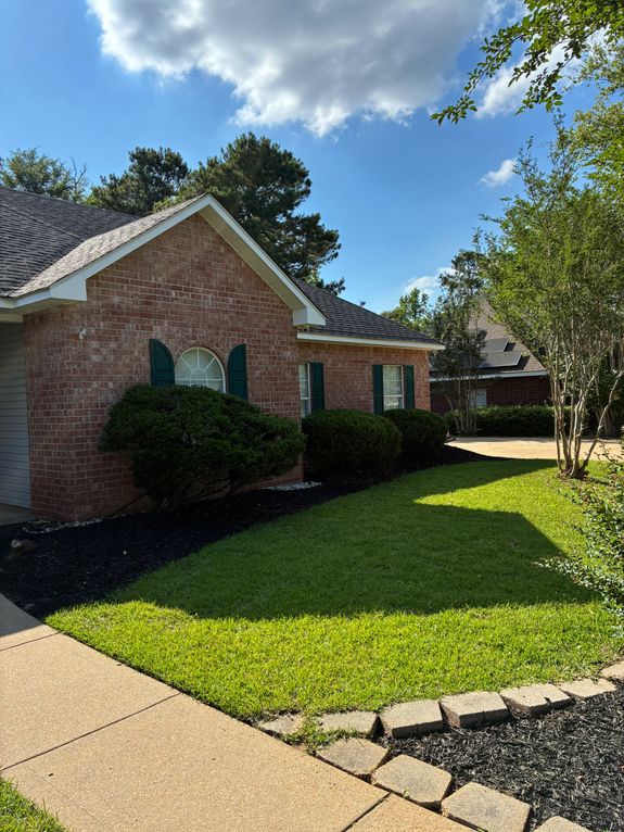 Your Trusted Partner for Pristine Lawn Care in Alexandria