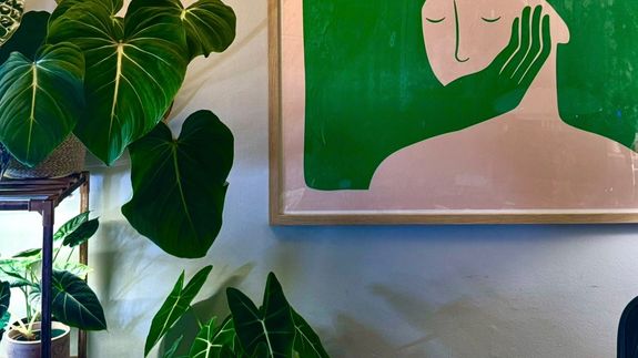 Green Leafed Plant Lot