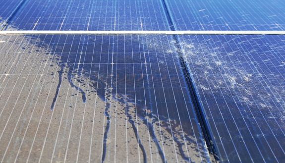 Eco-Friendly Practices