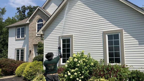 Reliable Pest Control Solutions in Mayfield, OH