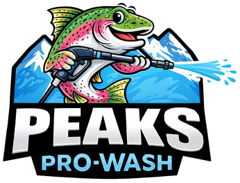 Peaks Pro Wash logo
