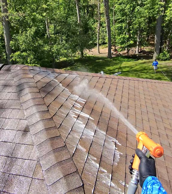 Roof Washing