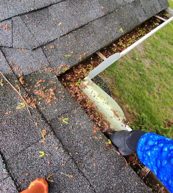 Gutter Cleaning