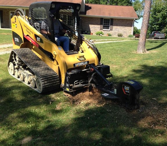 Stump Grinding