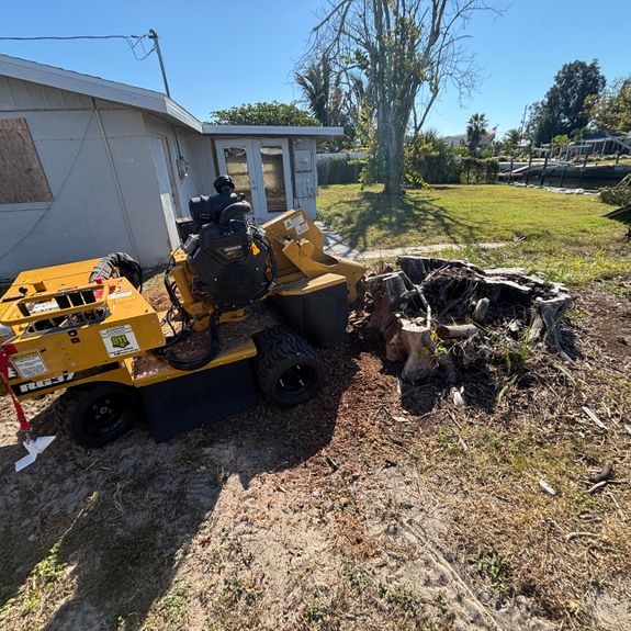 Transform Your Spring Hill Yard with Effortless Stump Grinding