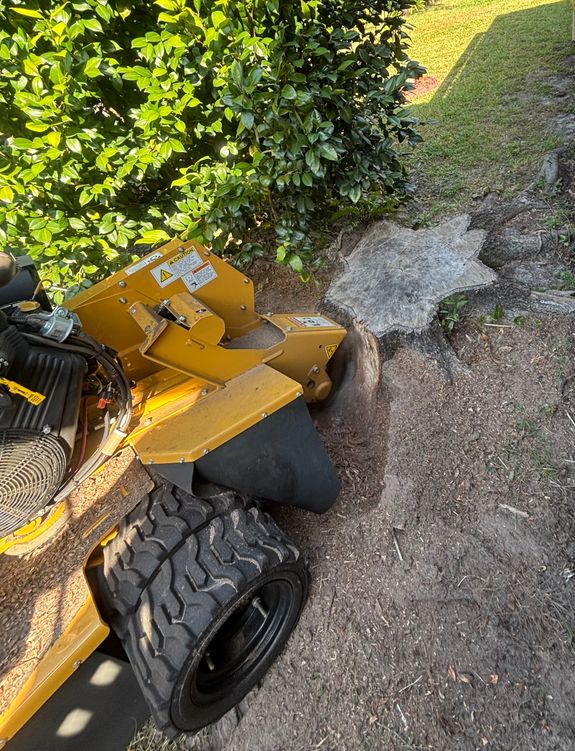 Stump Grinding