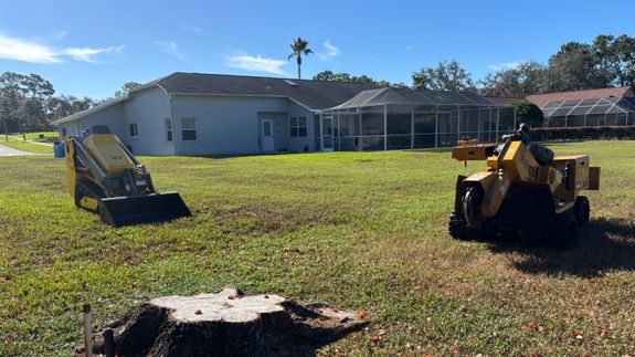 Efficient Stump Grinding and Land Solutions in Spring Hill, FL