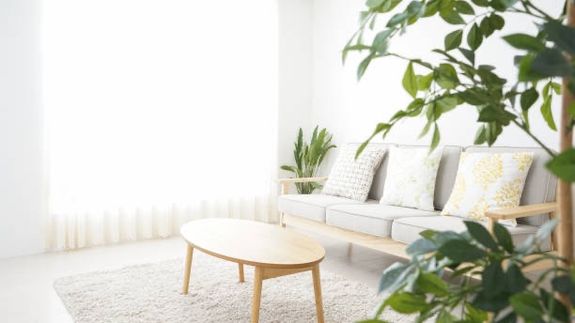 Transform Your Indoor Air Quality with Cleaner Air Solutions in Mankato, MN