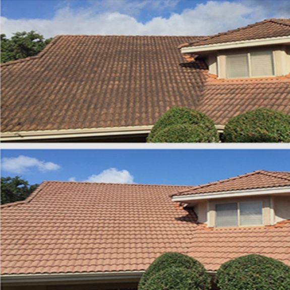 Roof Washing