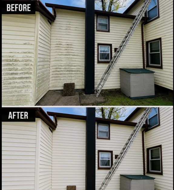 Siding Cleaning