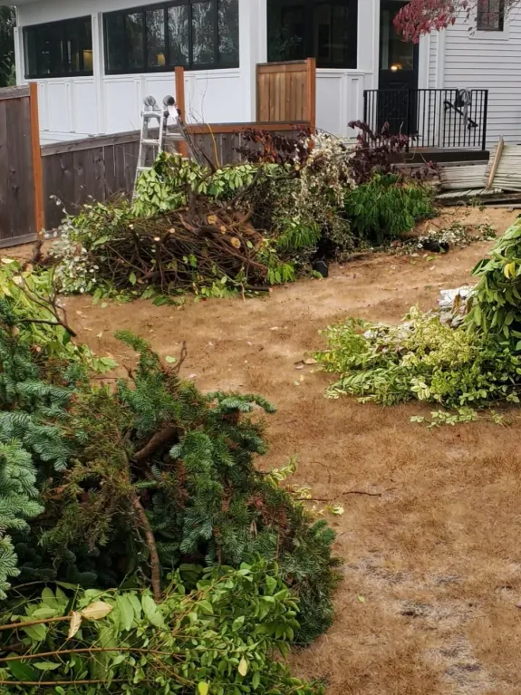 Yard Waste Removal