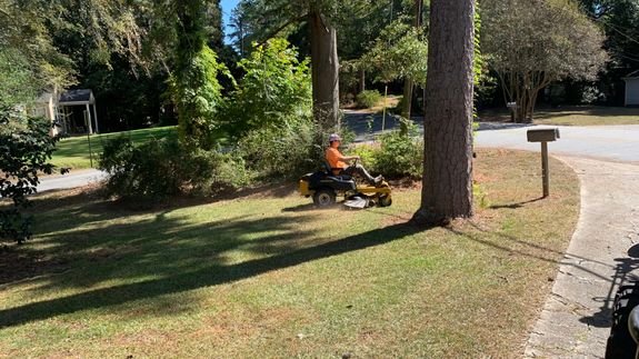 Transform Your Lawn into a Lush Retreat in Macon, GA