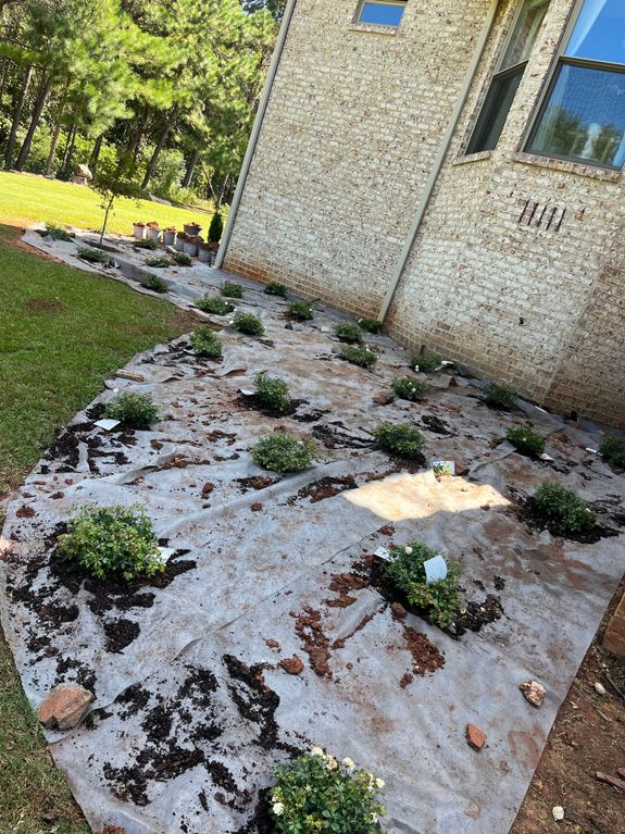 Lawn Care / Land-Clearing