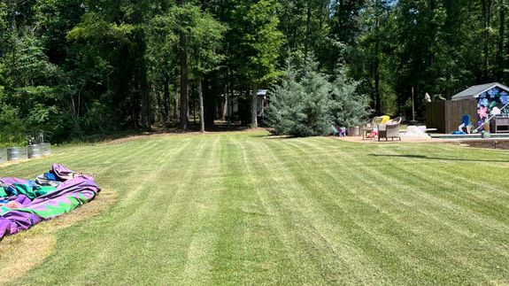 Person Using Dewalt Cordless Impact Driver on Brown Board