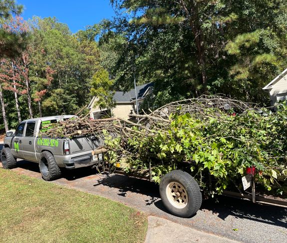 Junk And Debris Removal