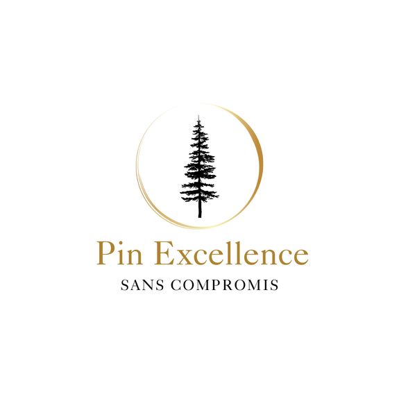 Découvrez Pin Excellence dans le Média - AQMAT