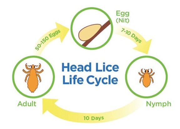 Secure Your Appointment with a Deposit