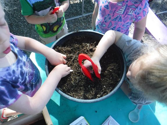 Nurturing S.T.E.M. Preschool Education in Grand Junction, CO