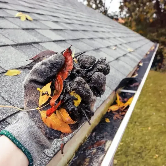 Gutter Cleaning