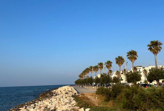 Photo of Seashore During Daytime