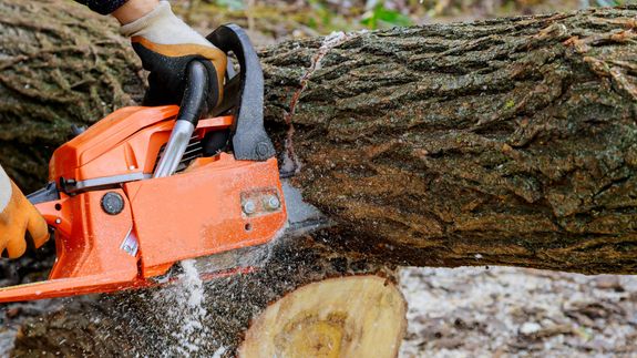 Reliable Tree Services and Construction Solutions in Joplin, MO