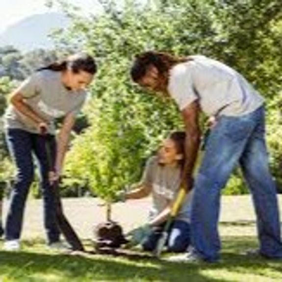 Community Involvement and Support