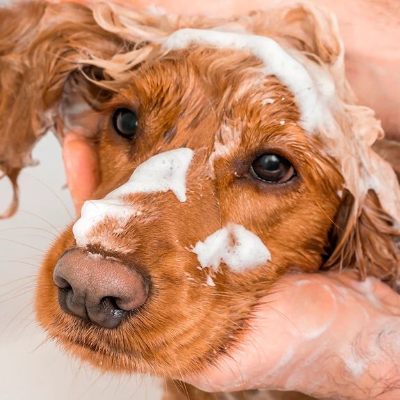 Gentle Bathing
