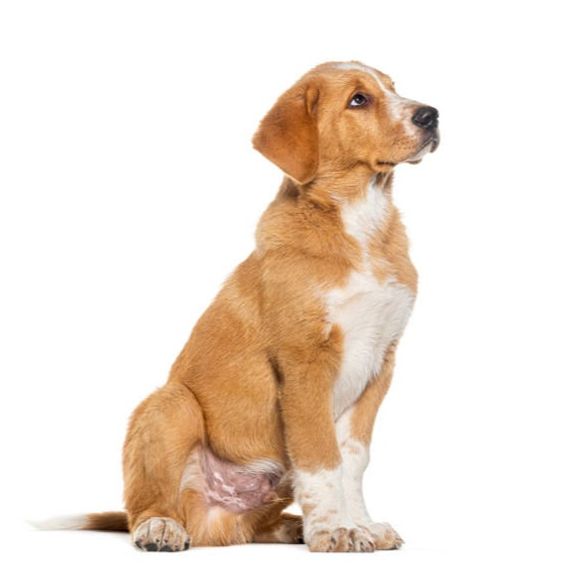 Local Community Focus