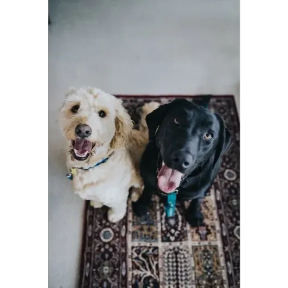 Safety and Trust Above All