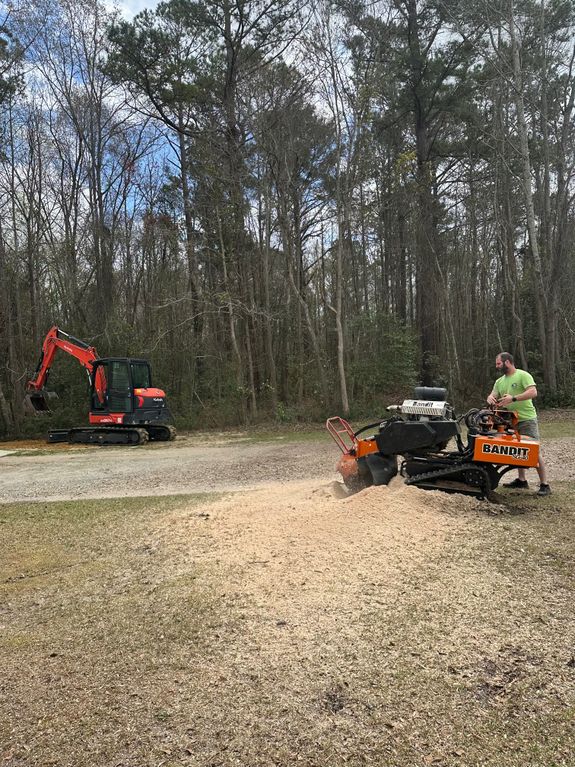 Expert Tree Trimming and Cleanup Services for Homeowners in Florence, SC
