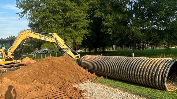 Shield Your Land from Erosion