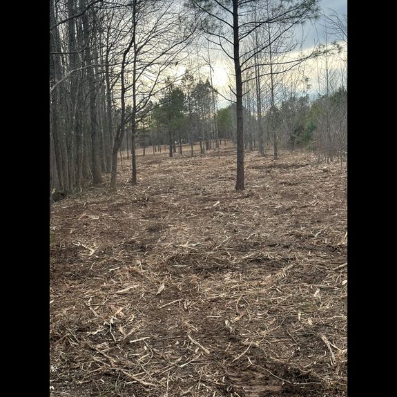 Forestry Mulching