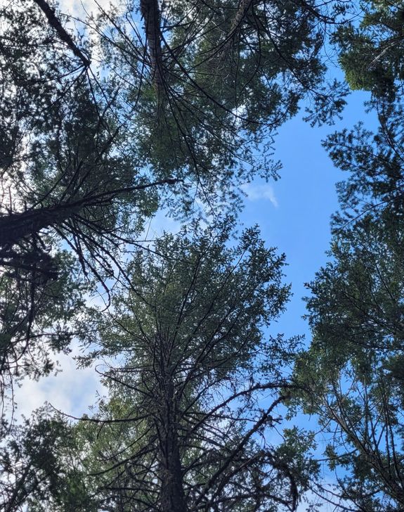 Emotional and Spiritual Support