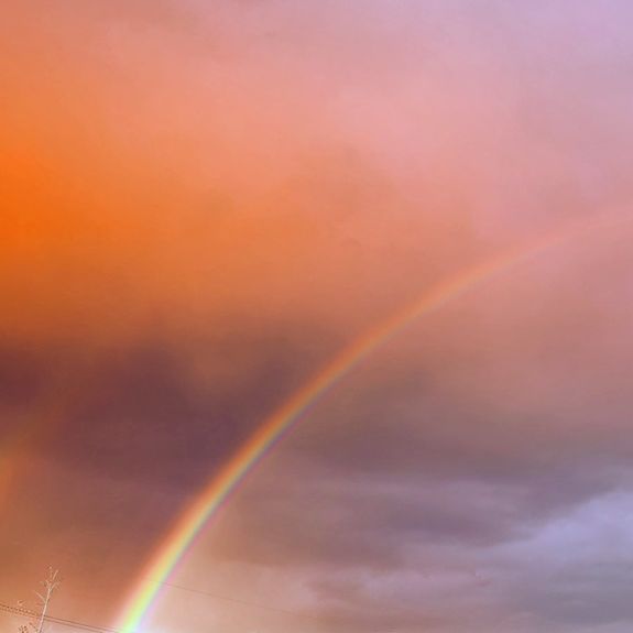 Grief and Bereavement Support