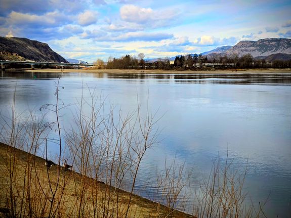 Home Preparation and Organization