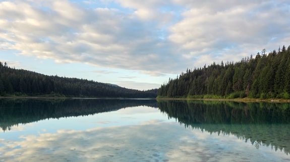 Training and Education