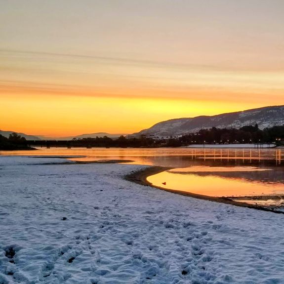 Advanced Care Planning