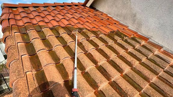 ROOF CLEANING - SOLAR PANEL CLEANING AND MORE!