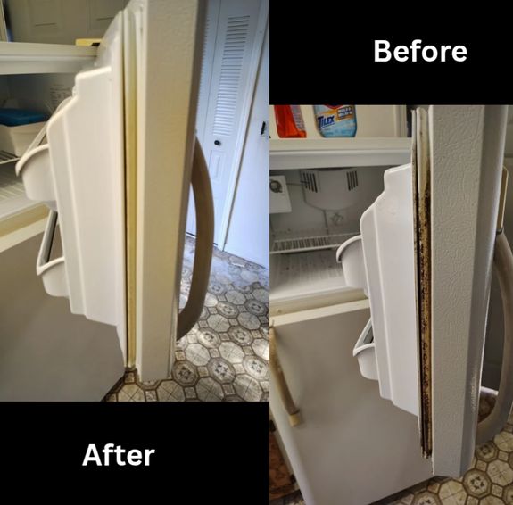 Tailored Services for Every Need