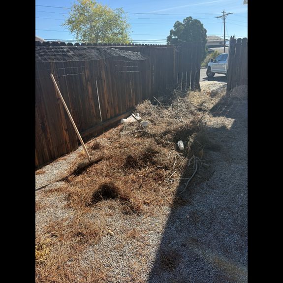 Eco-Friendly Disposal