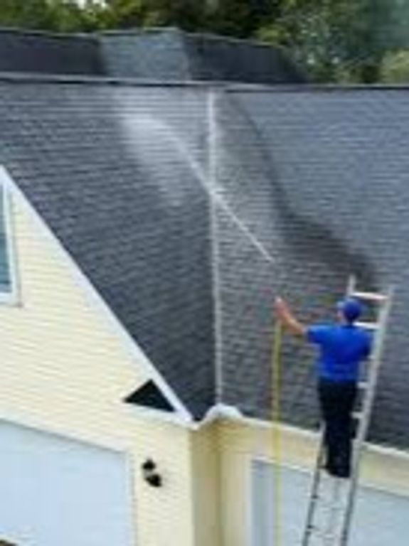 Experienced Professionals