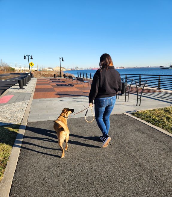 Leash Walking & Reactivity