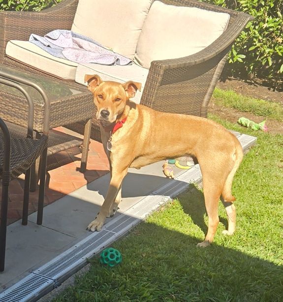 Excessive Fearfulness